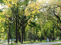 Autumn In Kildonan Park